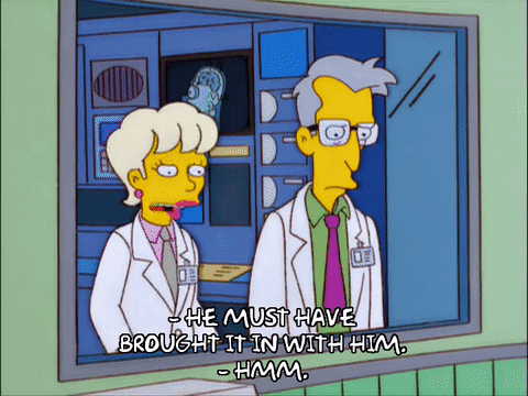 homer simpson GIF