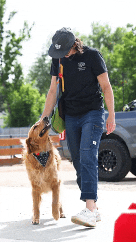 GIF by TrademarkCreativeStudios