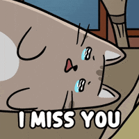 Lonely Thinking Of You GIF by MESA My Emotional Support Animal