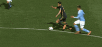 fall trip GIF by Philadelphia Union