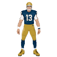 Luck Of The Irish Football Sticker by Panini America