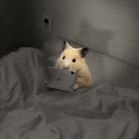 Watch Hamster GIF