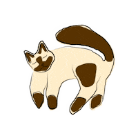 Siamese Cat Sticker