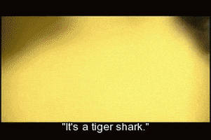 steven spielberg shark GIF