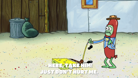 season 9 GIF by SpongeBob SquarePants