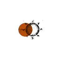 nicolemarega cool star sun morning Sticker