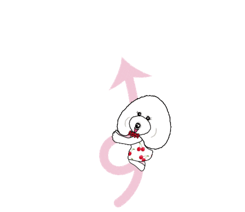 Poodle Sticker