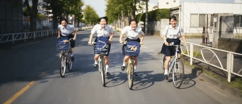 and so we put goldfish in the pool GIF by NOWNESS