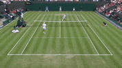 gael monfils reflexes GIF by Wimbledon