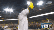 Come On Cheering GIF by MLB