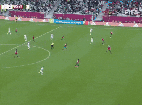 Qatar Whatagoal GIF