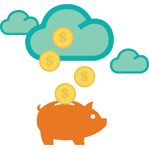 Money Save Sticker by FNBO