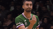 Come Liga Endesa GIF by ACB