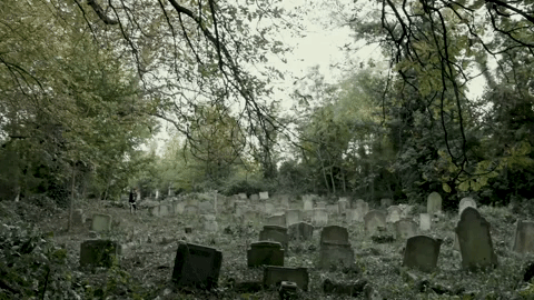london halloween GIF by NOWNESS