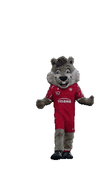 Happy Football Sticker by FC Thun