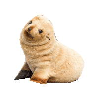 Sticker by erichamlet