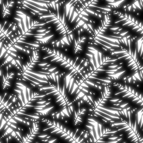 xponentialdesign summer loop nature sun GIF