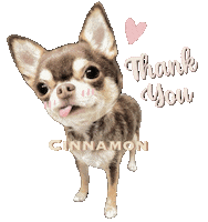 Thanks Thank You Sticker