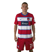 Hdh Sticker by 1. FC Heidenheim 1846