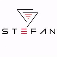 Stefaneisai GIF by Stefan Fashion