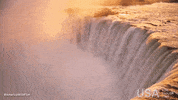 america wild GIF by Visit The USA