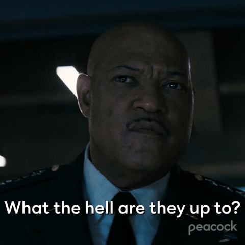 What Are They Up To?