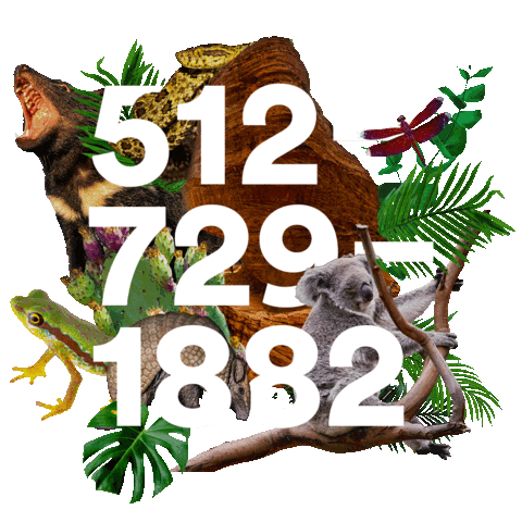 Text Community Sticker by Global Wildlife Conservation