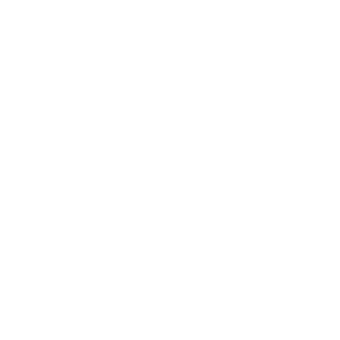 Boanoite Sticker