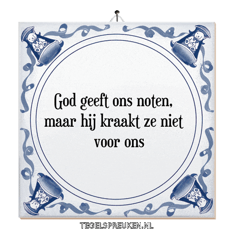 Nl Reflectie Sticker by Tegelspreuken.nl