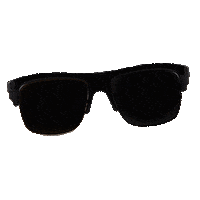 zealoptics sunglasses sunshine emerson cover your eyes Sticker