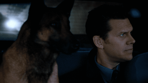 comedy show GIF by Angie Tribeca