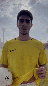 Football Soccer GIF