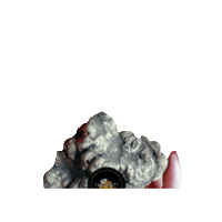 Alba Truffle Sticker by Diamante Tartufi