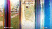 Season 1 Joe GIF by NBC