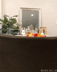 GoldenHuckFin puppy shit oh no thanksgiving GIF