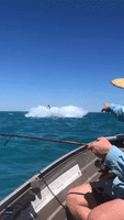 'A Little Too Close for Comfort': Fishermen Shriek With Delight as Whale Breaches Next to Boat