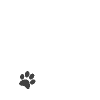 Dog Puppy Sticker by Kentucky Dogwear