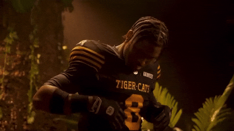 Tiger-Cats Cfl GIF by Hamilton Sports Group