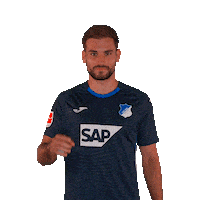 Sport Bundesliga Sticker by TSG Hoffenheim