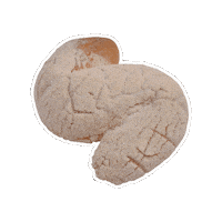 Panaderia Pandulce Sticker by La Michoacana Meat Market
