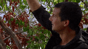 Zachary Quinto Panama GIF by National Geographic Channel