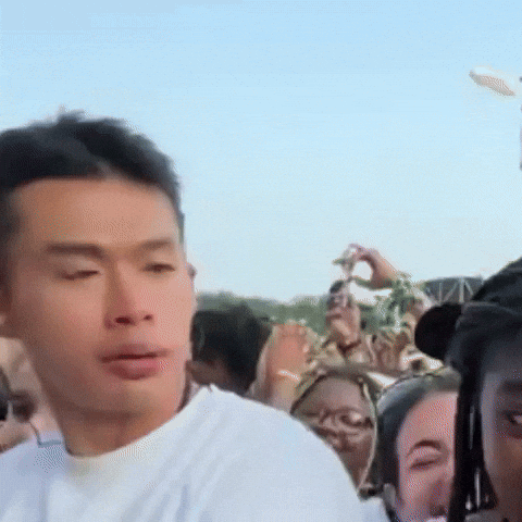 Lollapalooza GIF by Respective