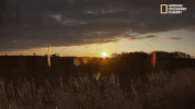 season 8 DRPOL GIF by Nat Geo Wild 