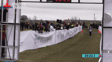 cross country running GIF by RunnerSpace.com