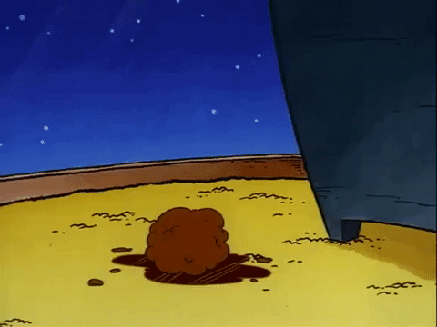 rockos modern life nicksplat GIF