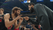 robin lopez nba GIF by Chicago Bulls