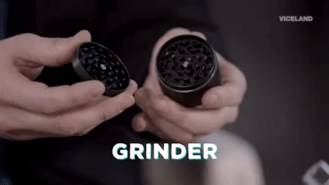 viceland GIF by MOST EXPENSIVEST
