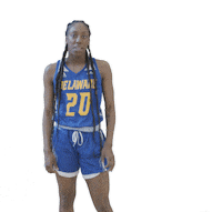 Womens Basketball No Sticker by Delaware Blue Hens