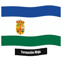 Castilla Y Leon Flag Sticker by Formación Ninja
