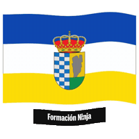 Castilla Y Leon Flag Sticker by Formación Ninja